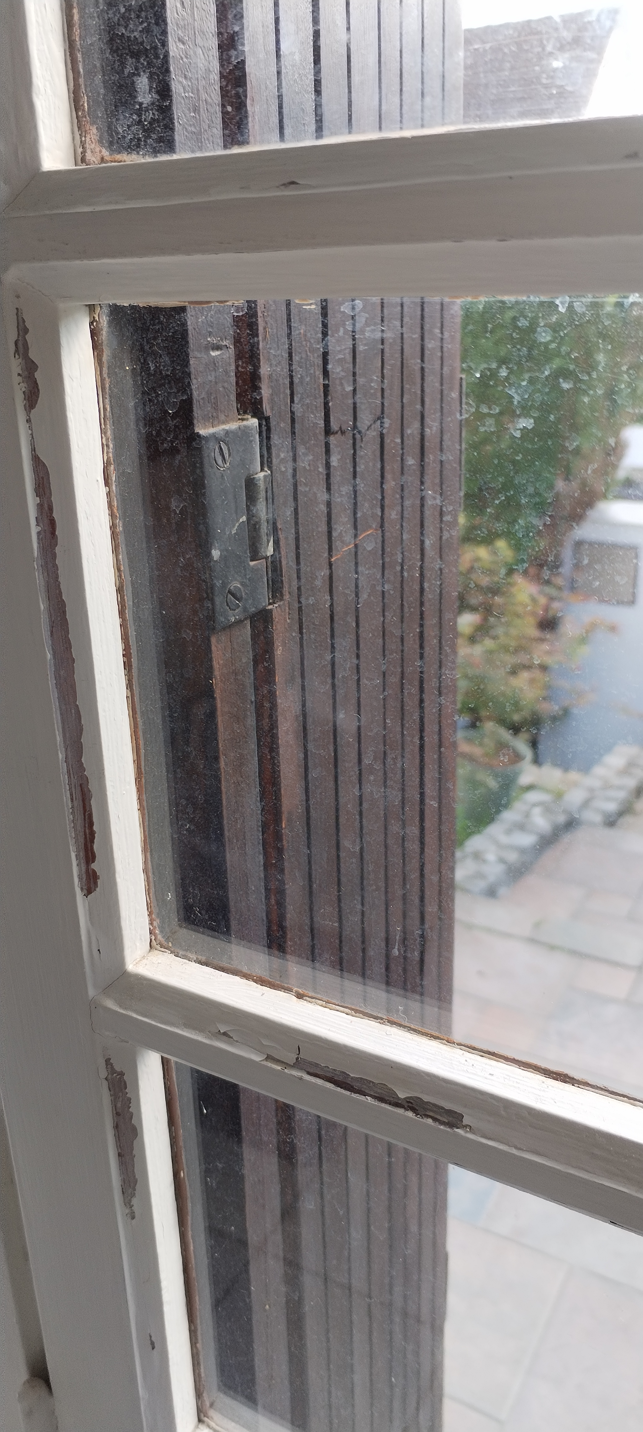 1759229665-IMG_20250930_122947.jpg 1759229665-IMG_20250930_122947.jpg