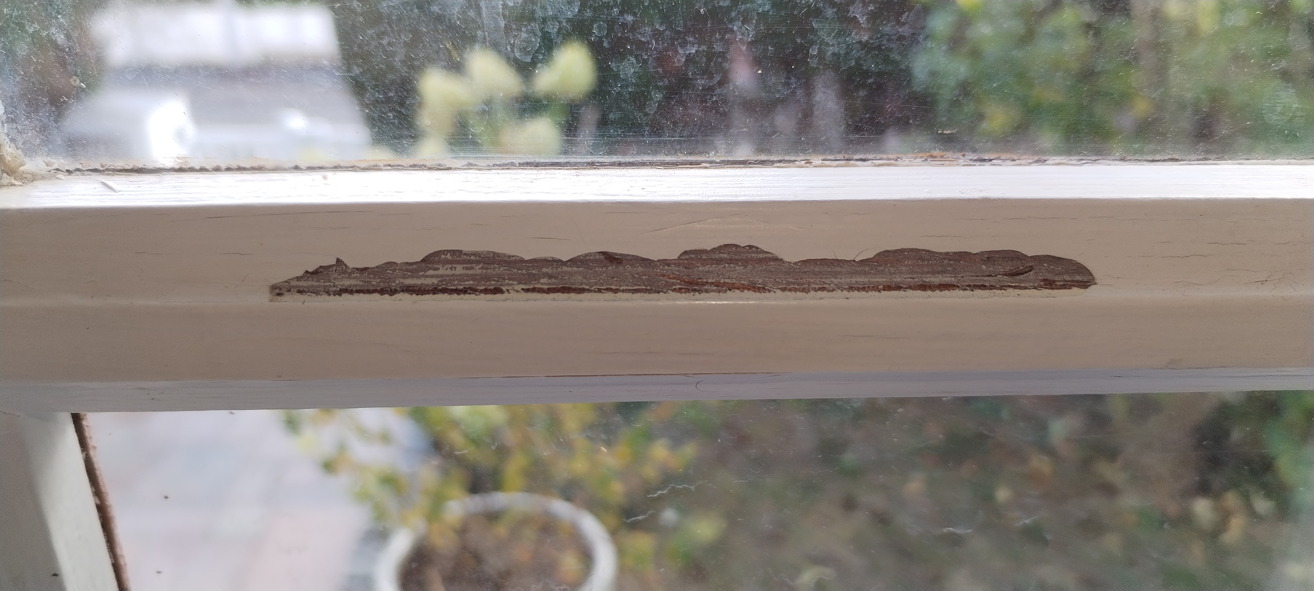 1759229772-IMG_20250930_122911.jpg 1759229772-IMG_20250930_122911.jpg