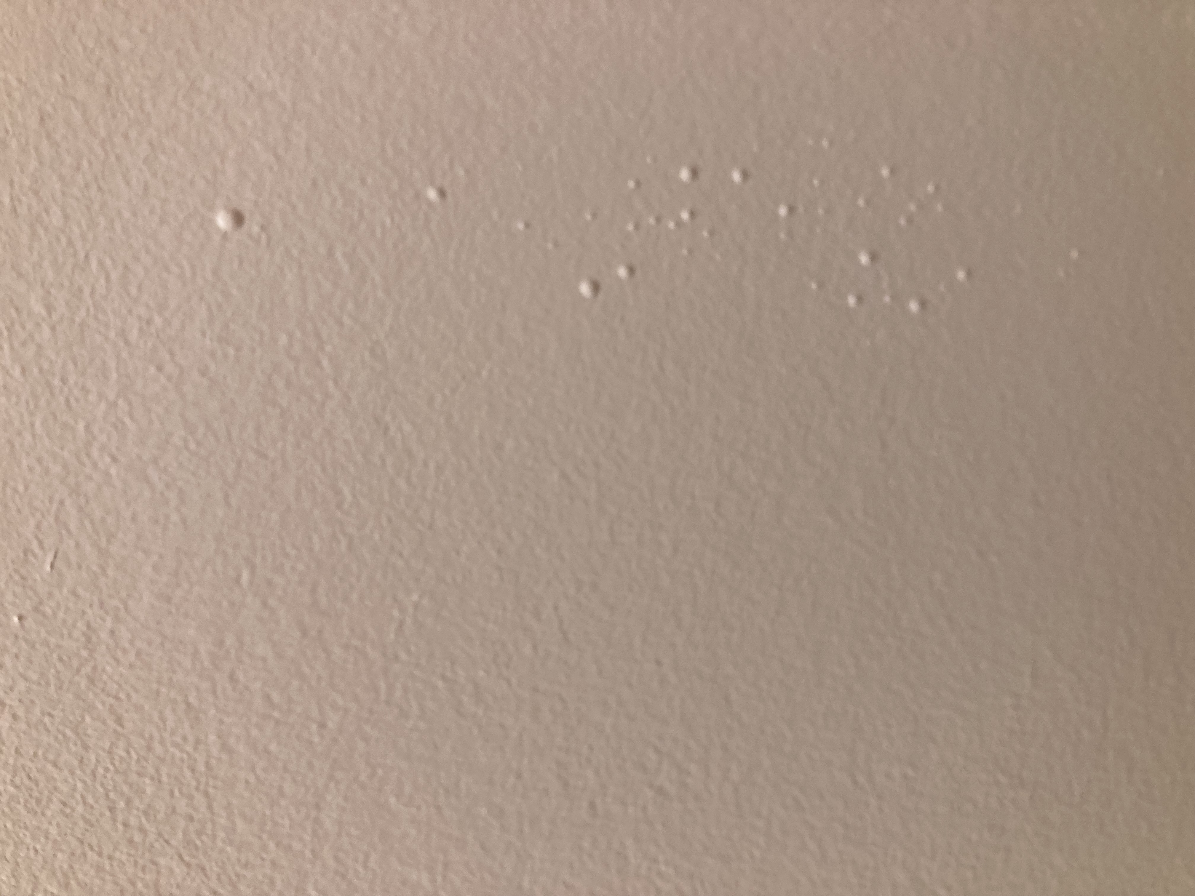 1760207887-IMG_0281.jpeg 1760207887-IMG_0281.jpeg