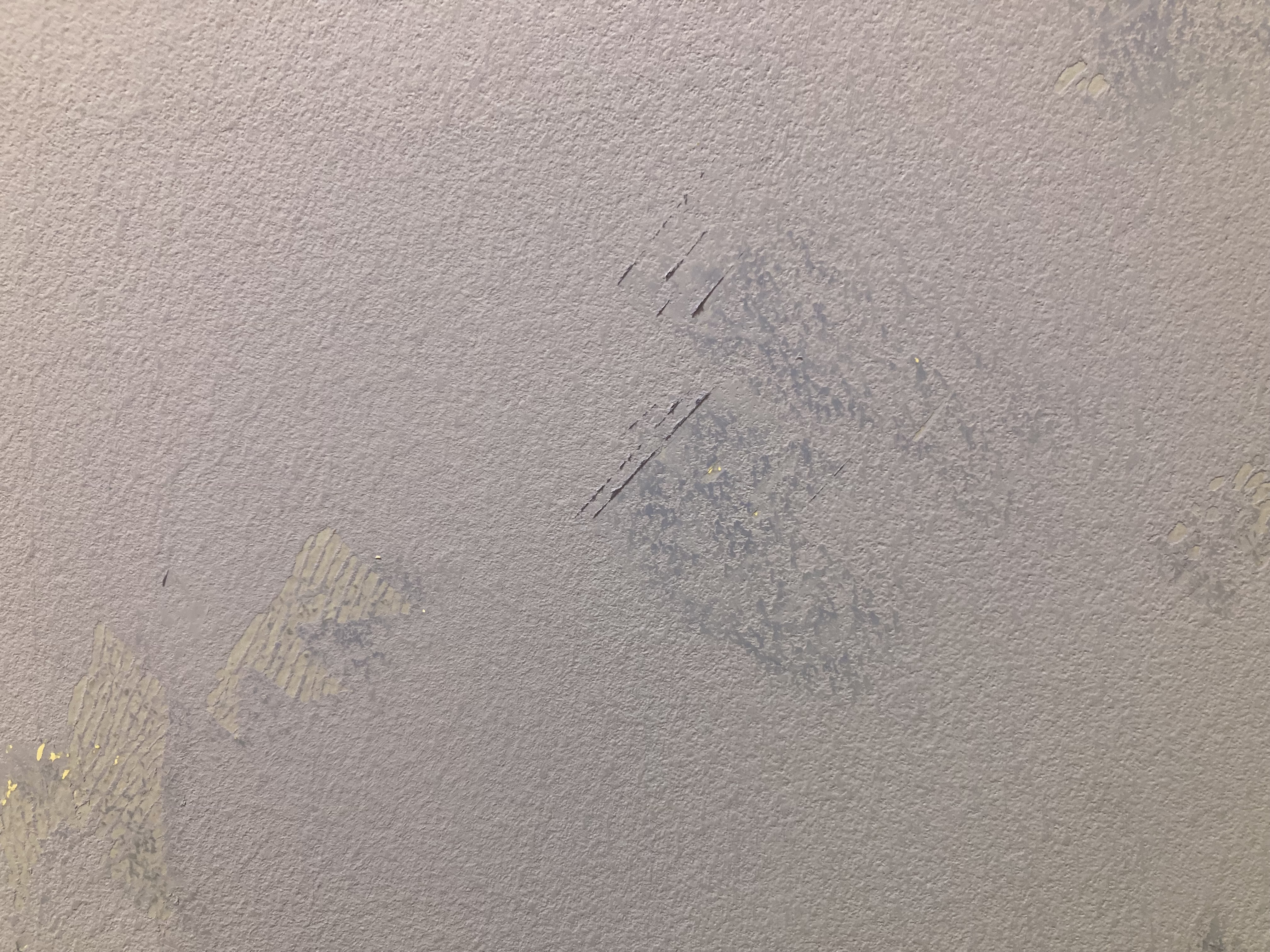 1760378423-IMG_0289.jpeg 1760378423-IMG_0289.jpeg