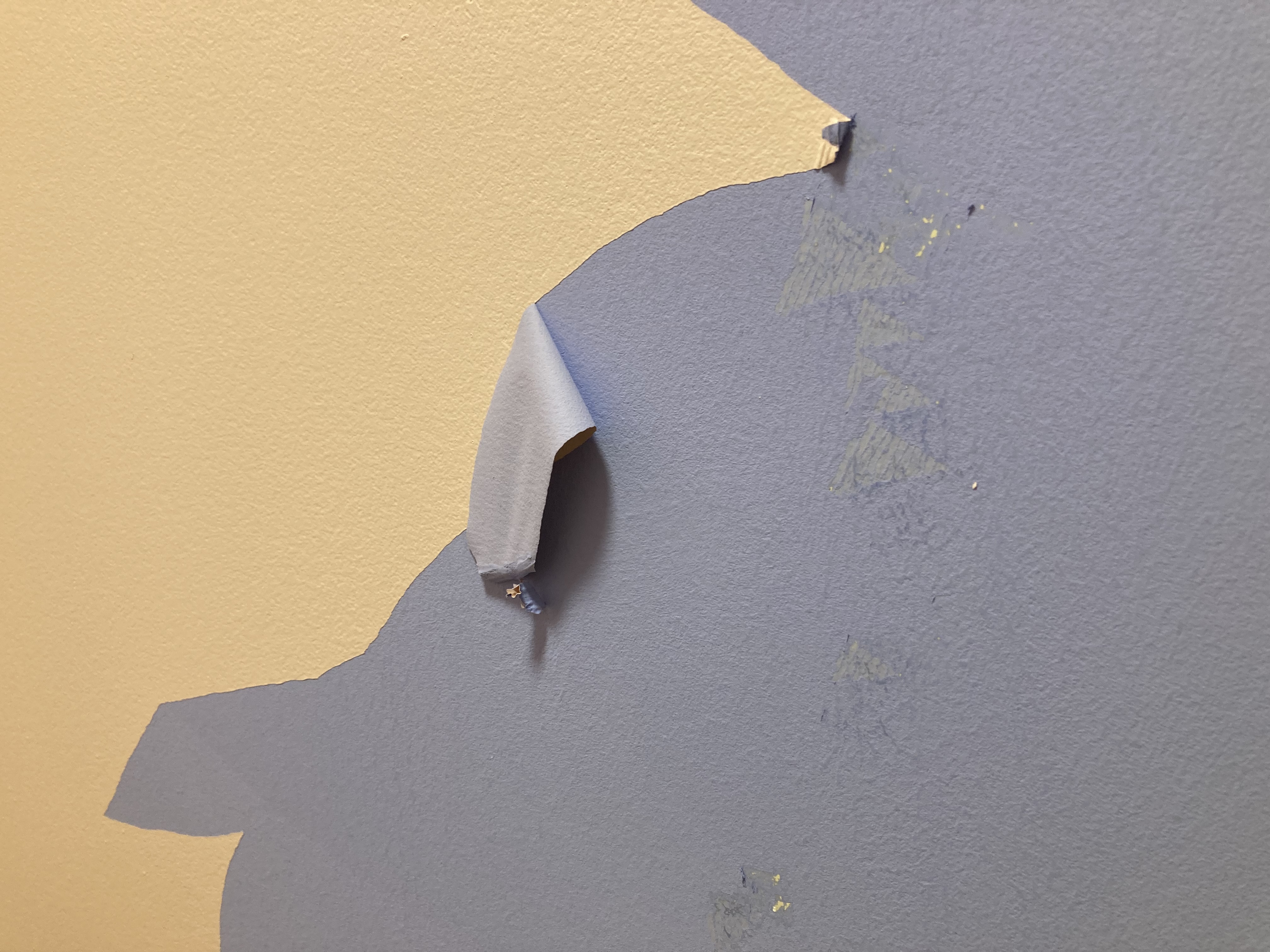 1760378554-IMG_0286.jpeg 1760378554-IMG_0286.jpeg