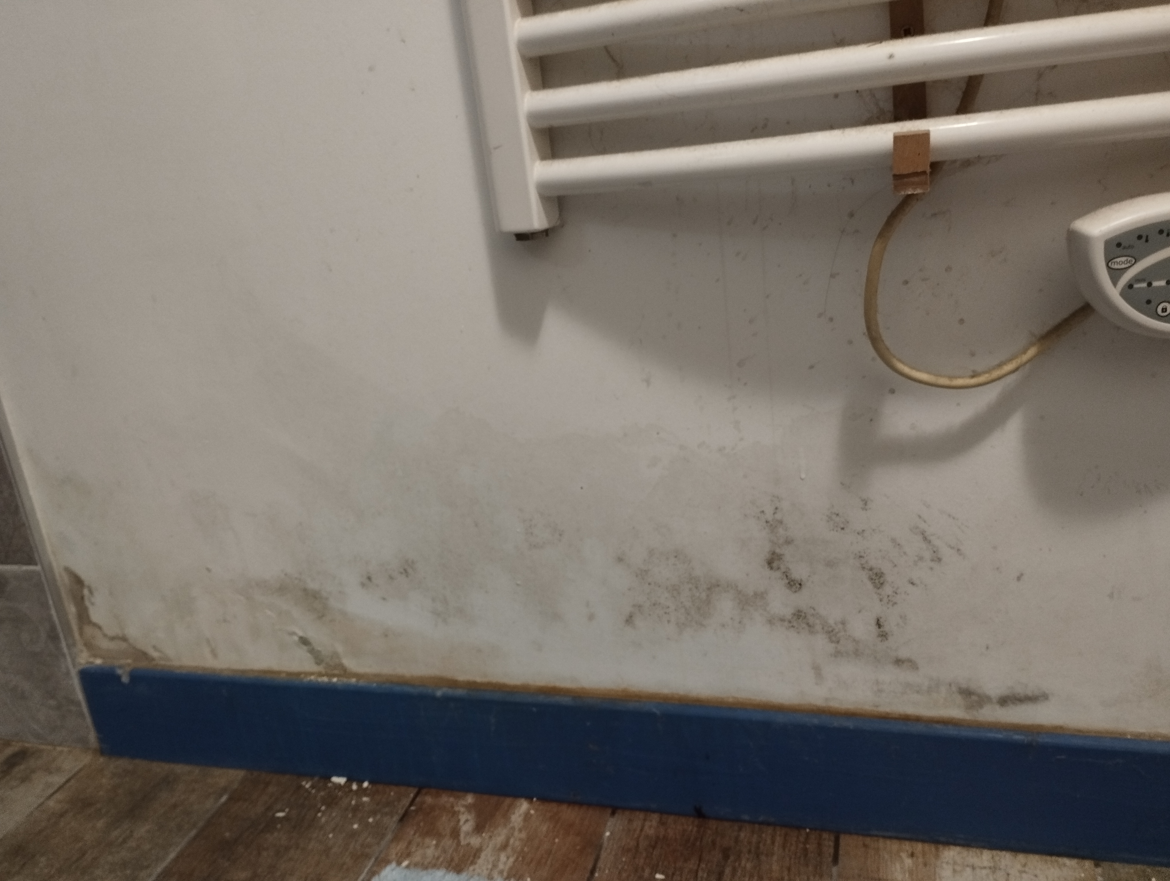 1760634681-IMG_20251016_185621.jpg 1760634681-IMG_20251016_185621.jpg