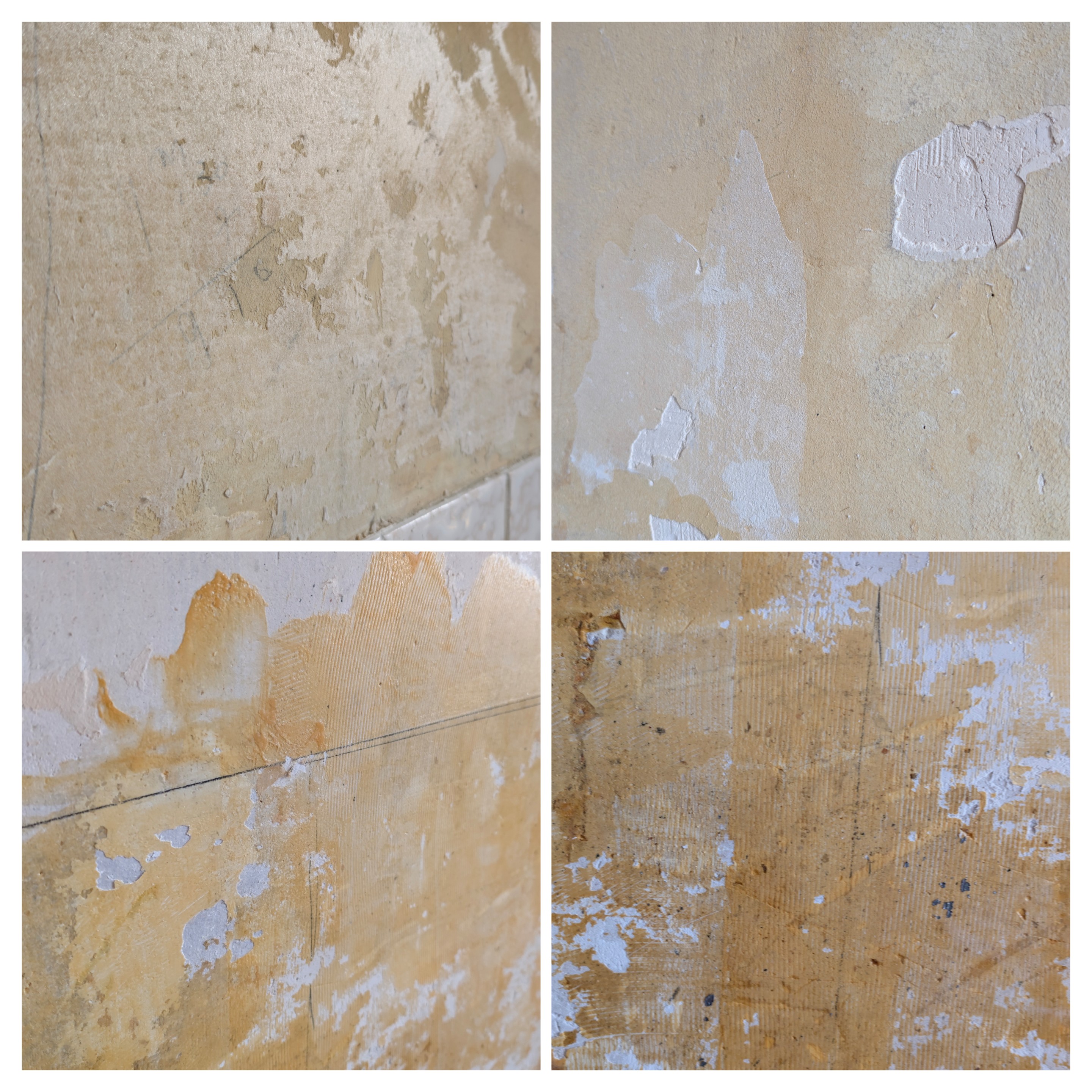 1762690349-20251109_131214-COLLAGE.jpg 1762690349-20251109_131214-COLLAGE.jpg