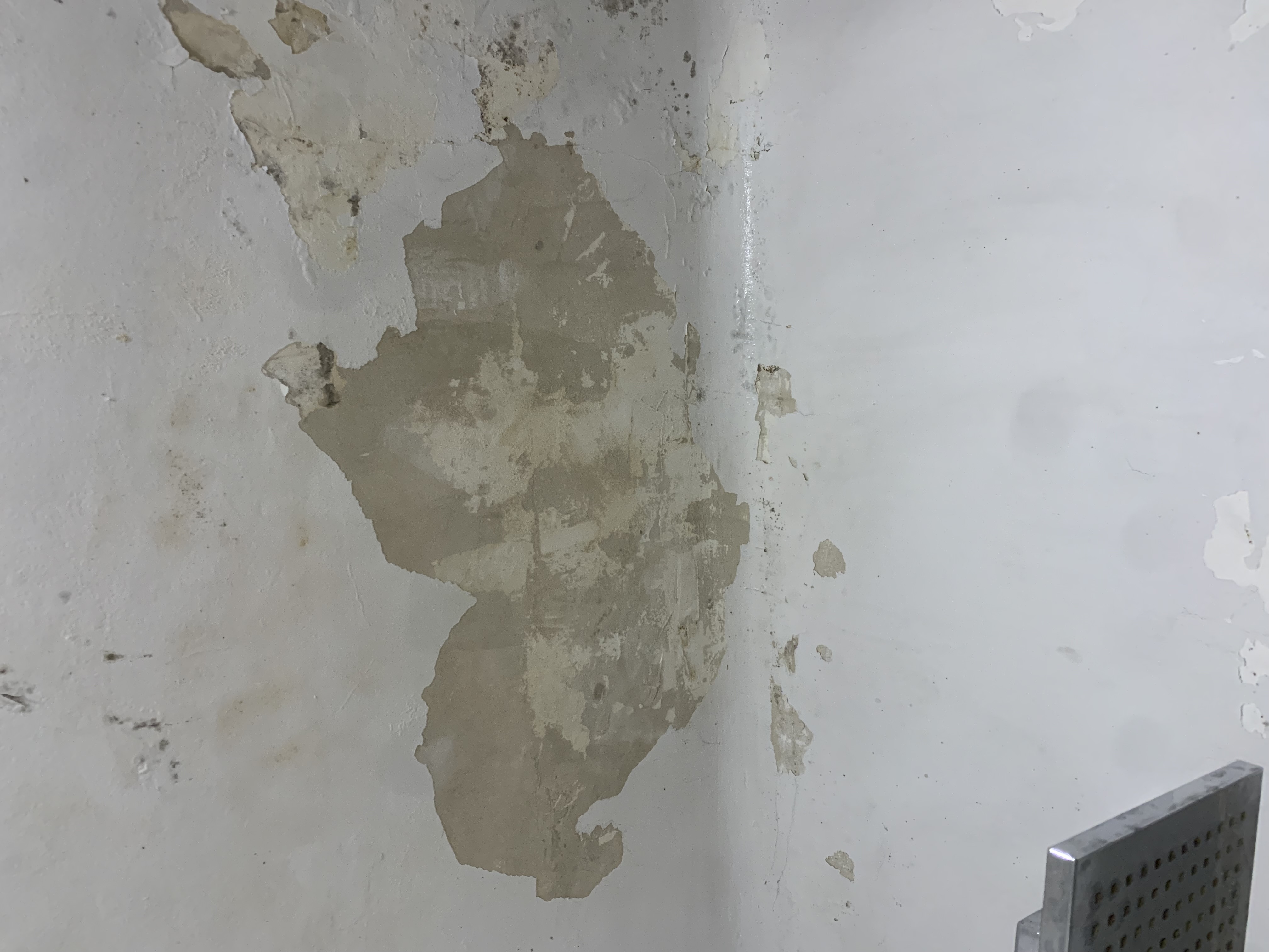 1763480879-IMG_7276.jpeg 1763480879-IMG_7276.jpeg