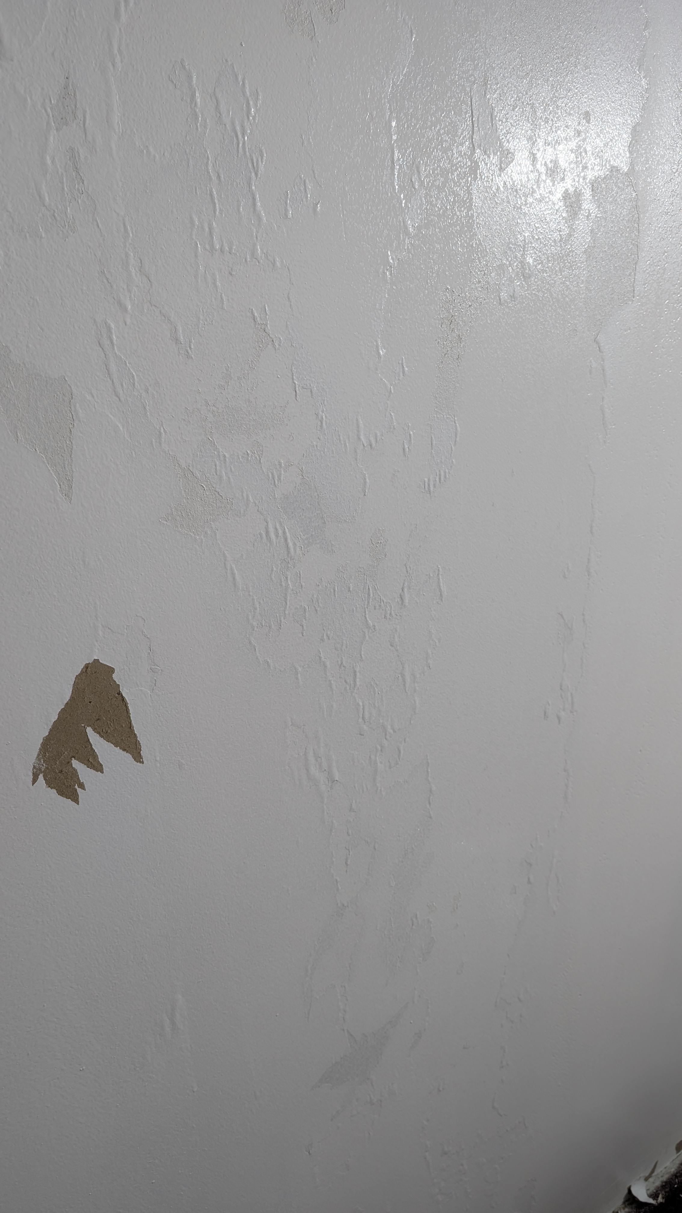 1768229927-PXL_20260112_144346195.jpg 1768229927-PXL_20260112_144346195.jpg