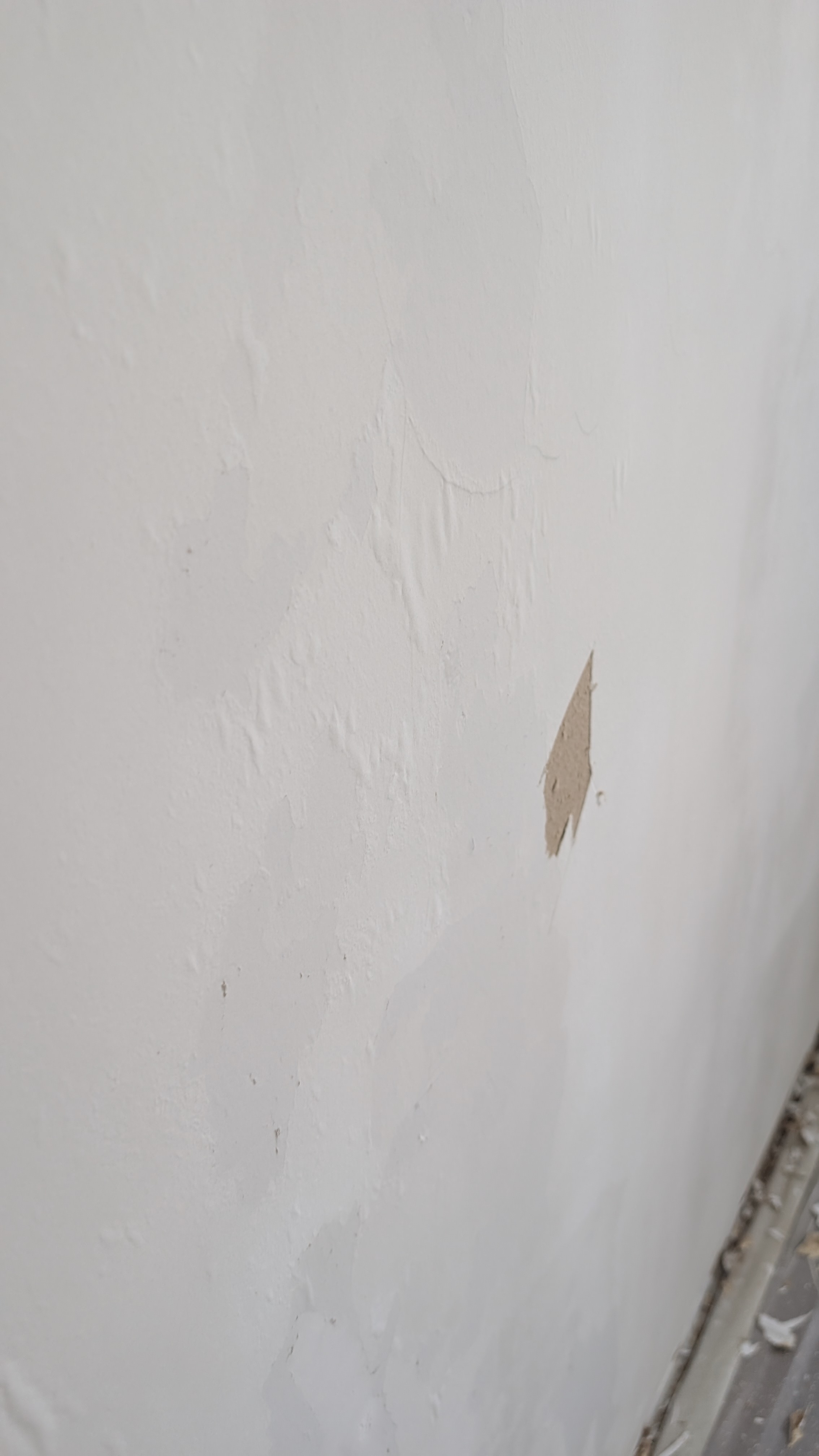 1768230097-PXL_20260112_132826039.jpg 1768230097-PXL_20260112_132826039.jpg