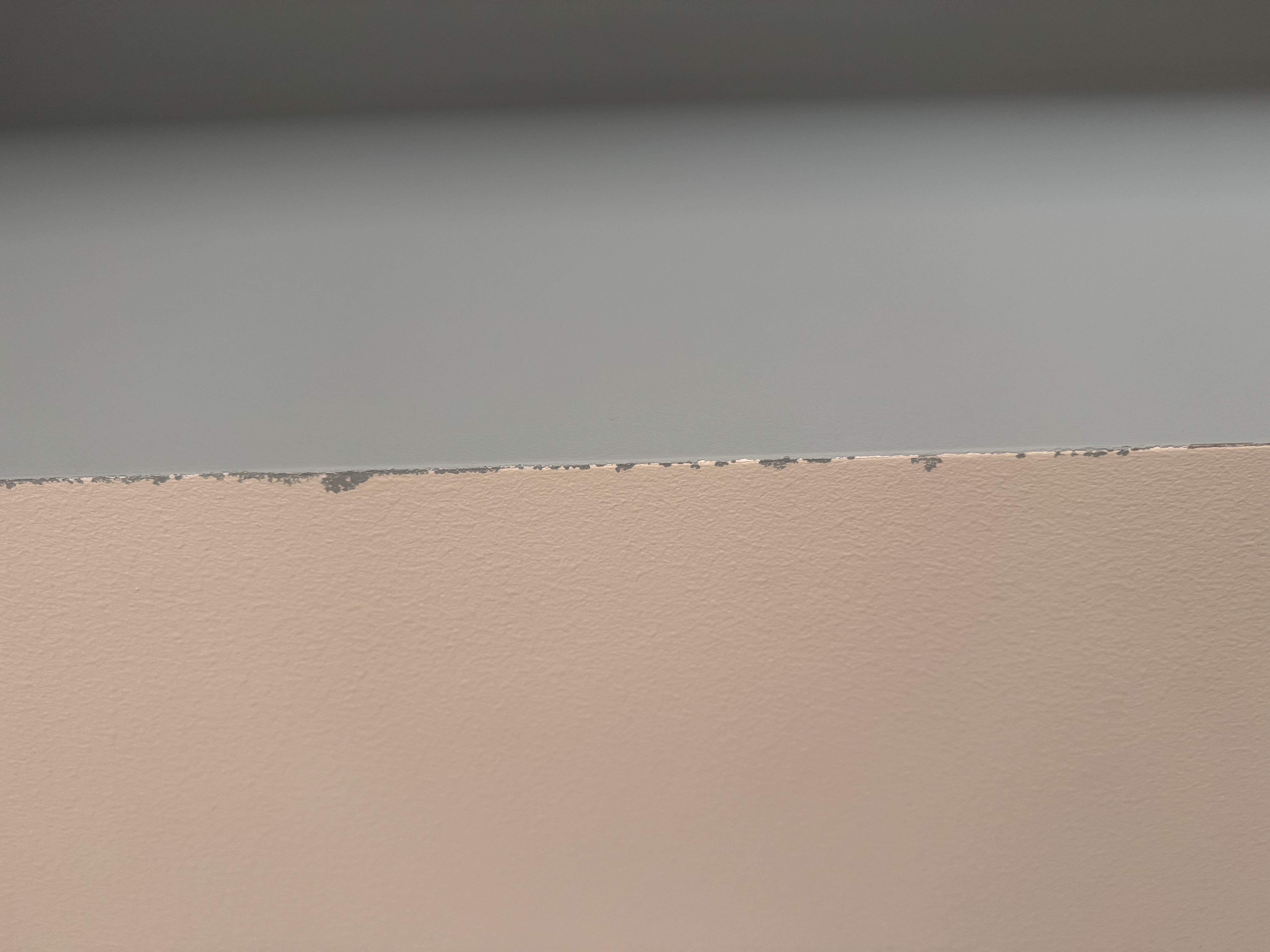 1768650971-IMG_3829.jpeg 1768650971-IMG_3829.jpeg