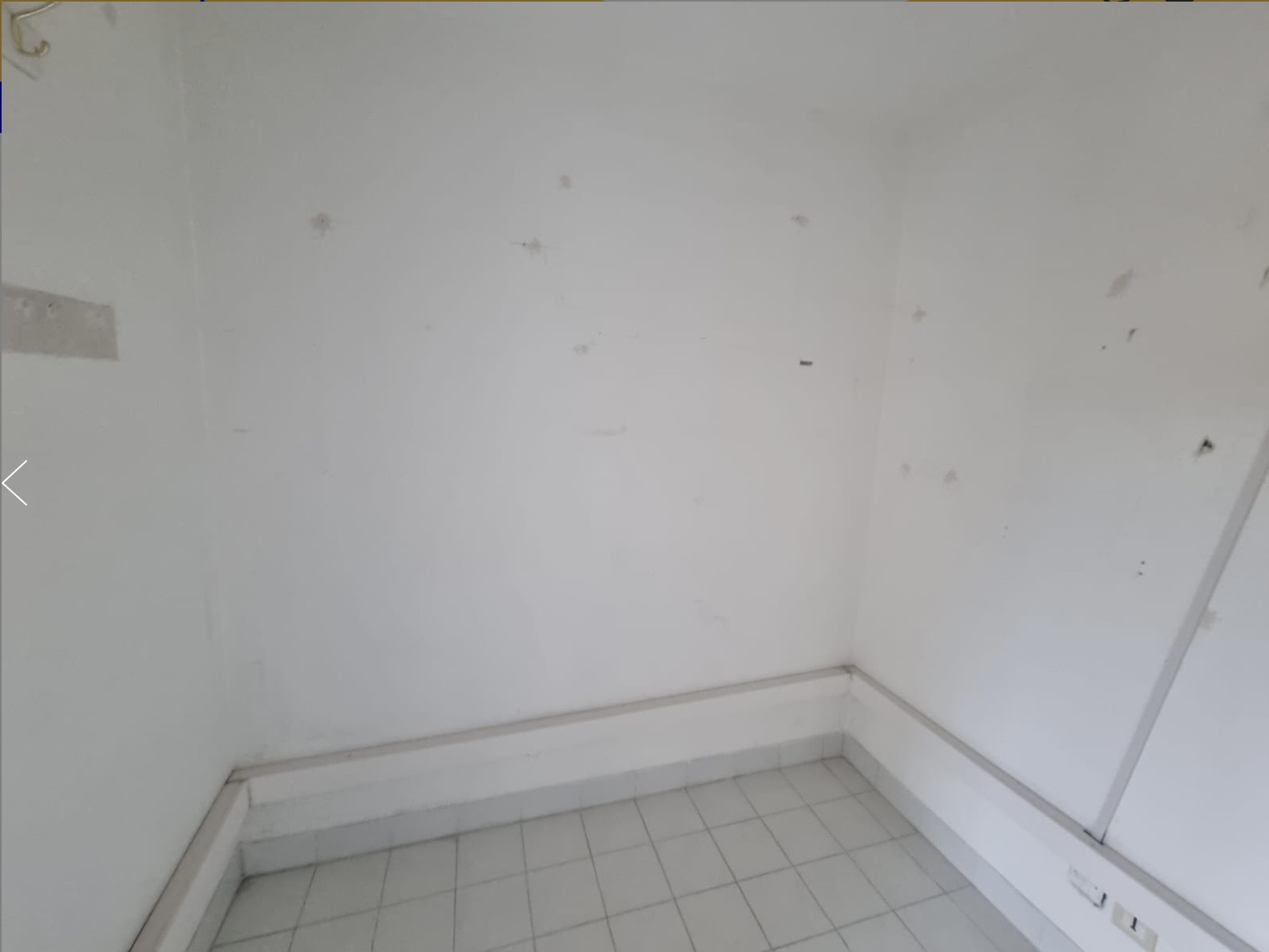 1772984204-IMG_2464.jpeg 1772984204-IMG_2464.jpeg